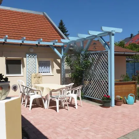 Anna Vendeghaz Daire *