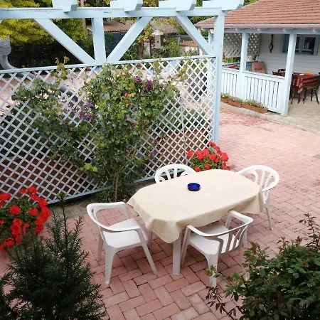 Anna Vendeghaz * Kestel