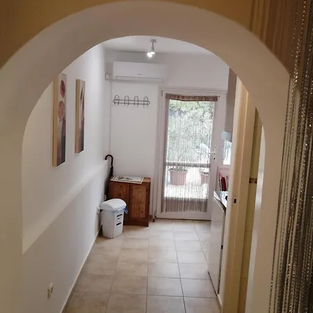 Daire Anna Vendeghaz *