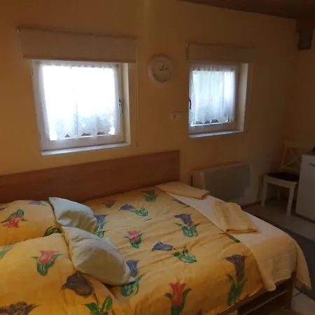 Anna Vendeghaz Daire