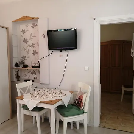 Anna Vendeghaz Kestel