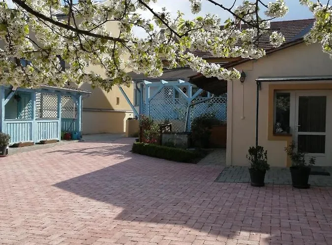 Anna Vendeghaz Apartment