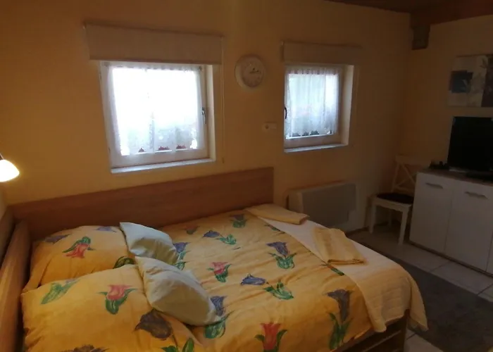 Anna Vendeghaz Apartment