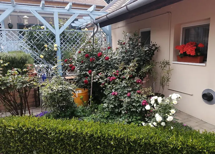 Anna Vendeghaz Apartment *